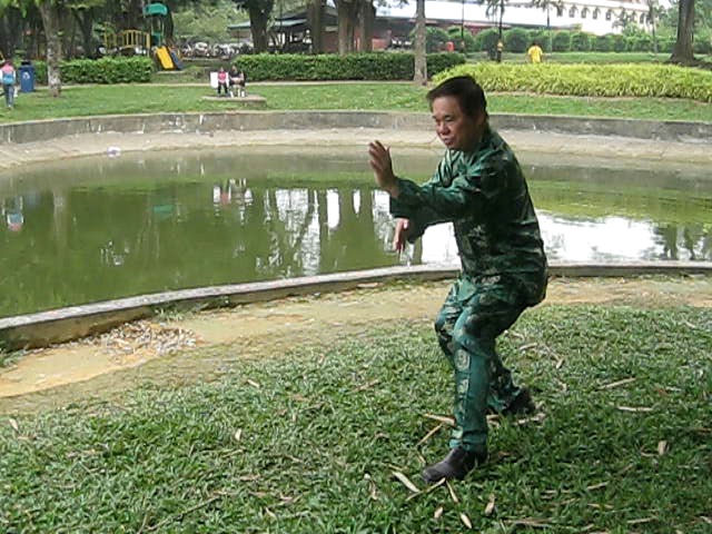 Taijiquan Cloud Hands